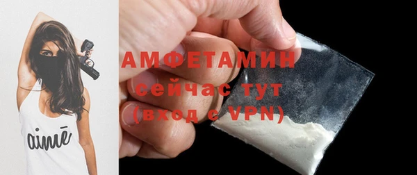 прущая мука Няндома