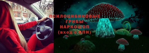 мдпв Абинск